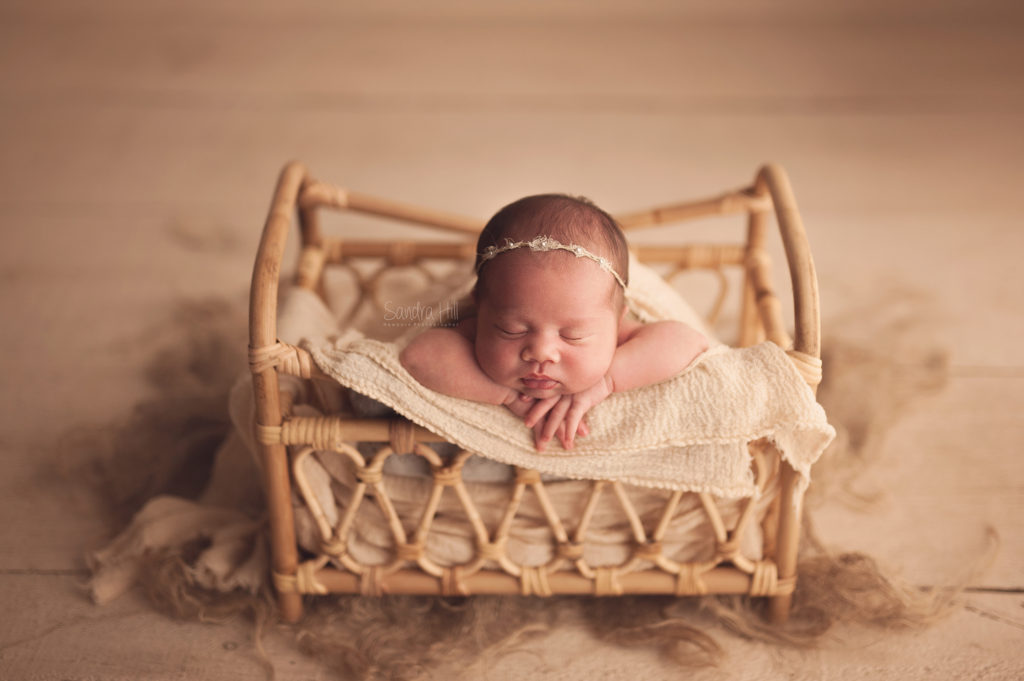 Brantford, Ontario Newborn Photographer | Baby Photography