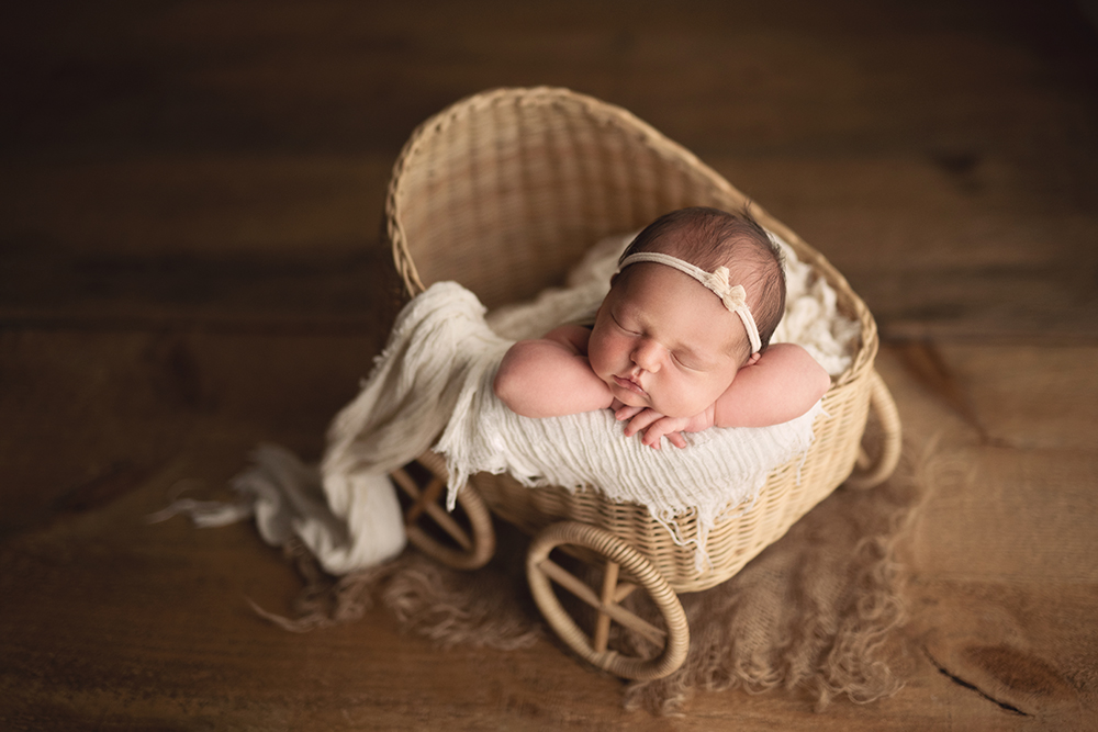 best Brantford newborn photographer, baby + sibling photoshoot Brantford Ontario, baby photographer near me